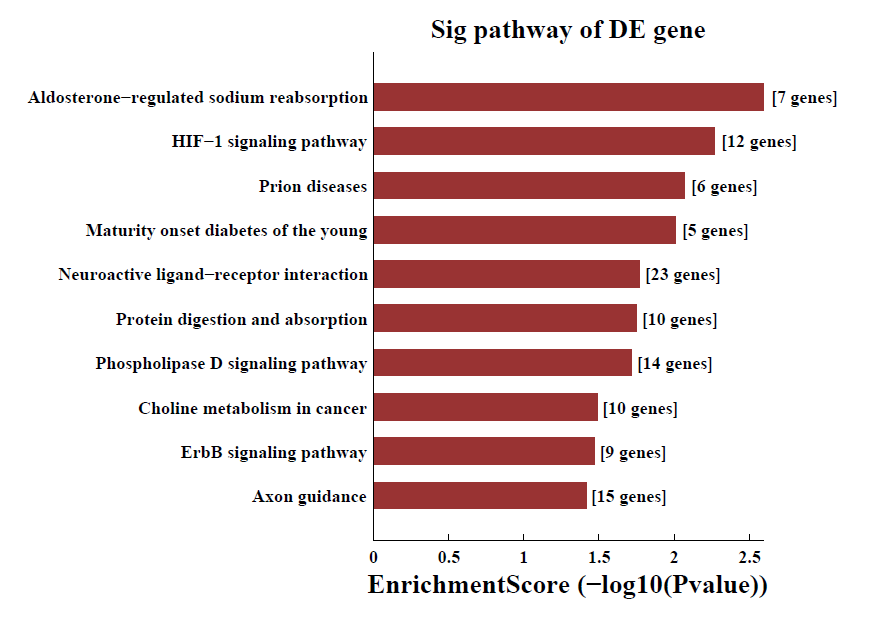 
差异m6A甲基化mRNA pathway分析